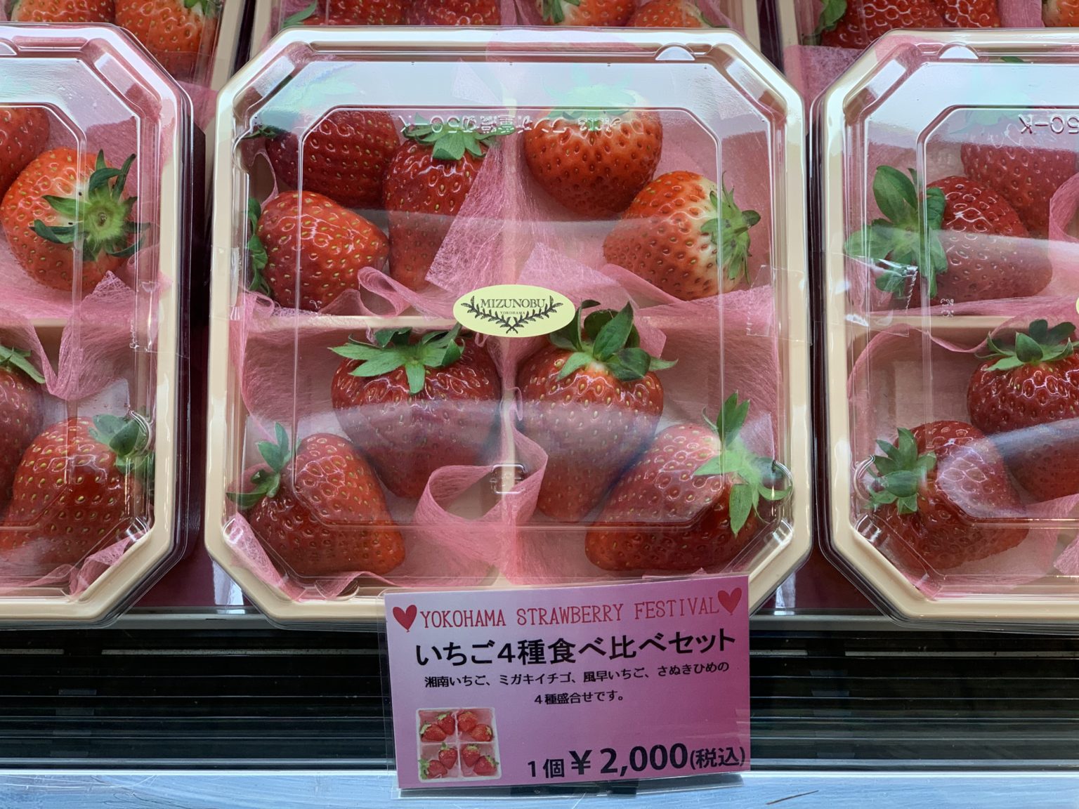おしゃれ スイッチ 横浜赤レンガ倉庫のいちごイベント♡人気の おしゃれ スイッチ 横浜赤レンガ倉庫のいちごイベント♡人気の