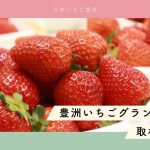 「第一回 豊洲いちごグランプリ2026」プロと消費者が市場流通いちごをガチ審査〜豊洲市場に流通しているいちごの一番はどれだ！〜